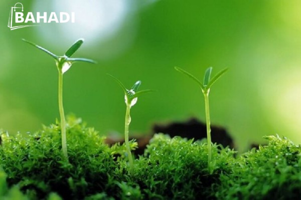 Top 5 các mặt hàng nên kinh doanh online bán chạy 2022